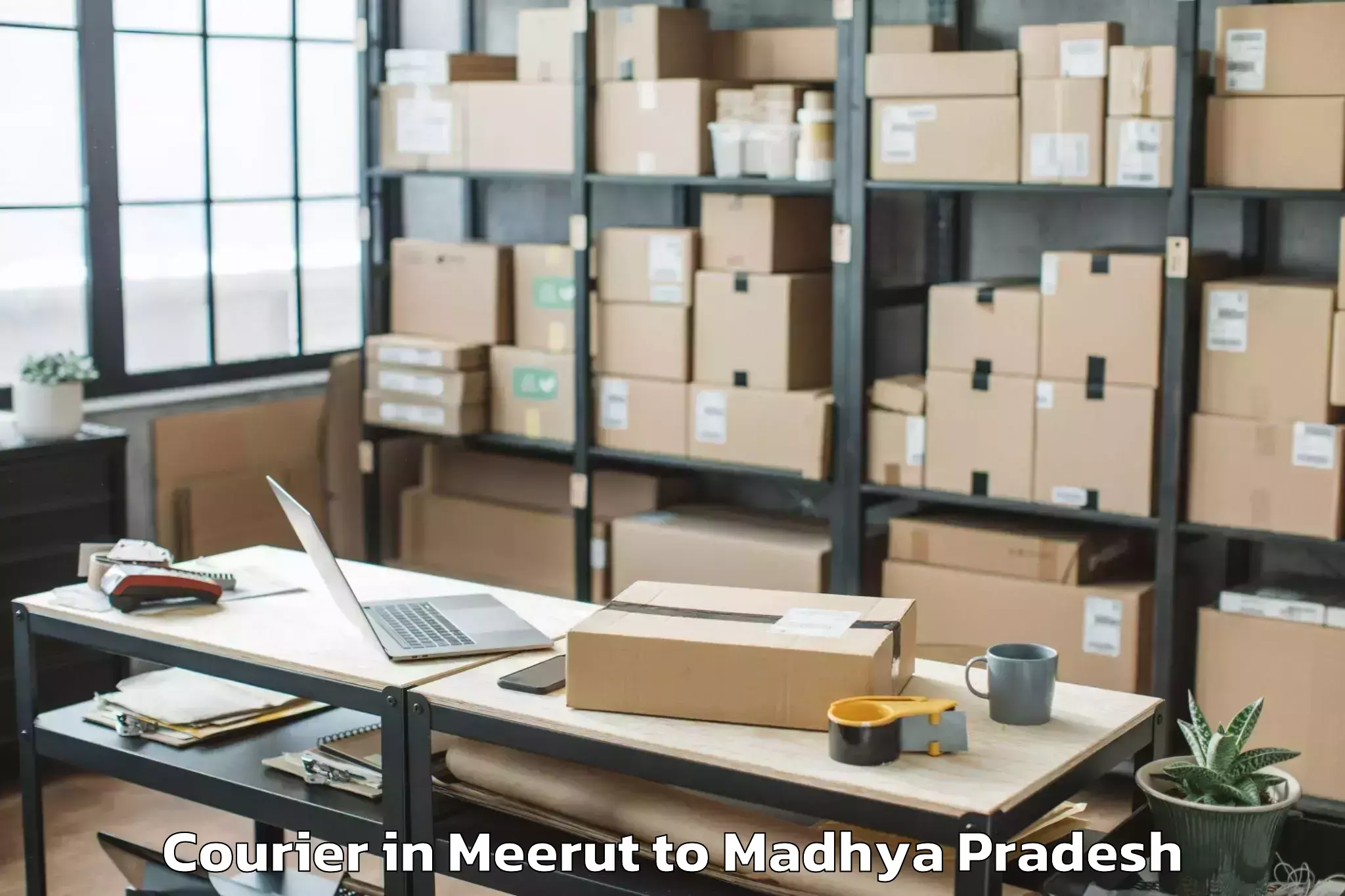 Trusted Meerut to Malhargarh Courier